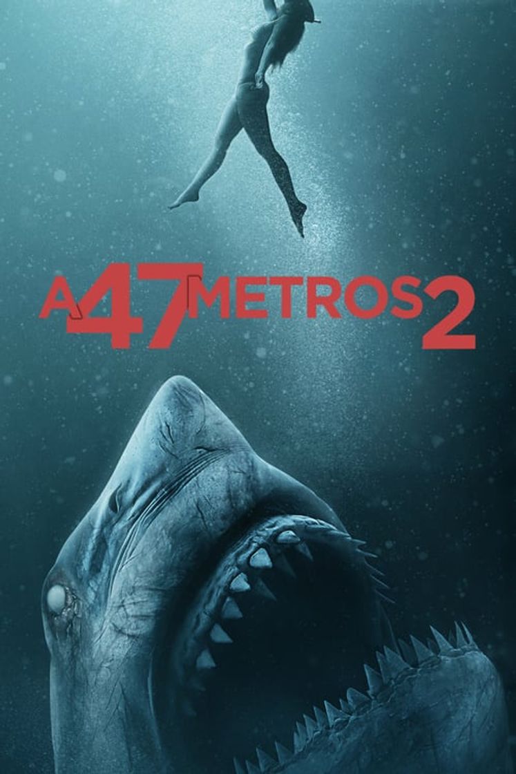 Película A 47 metros 2