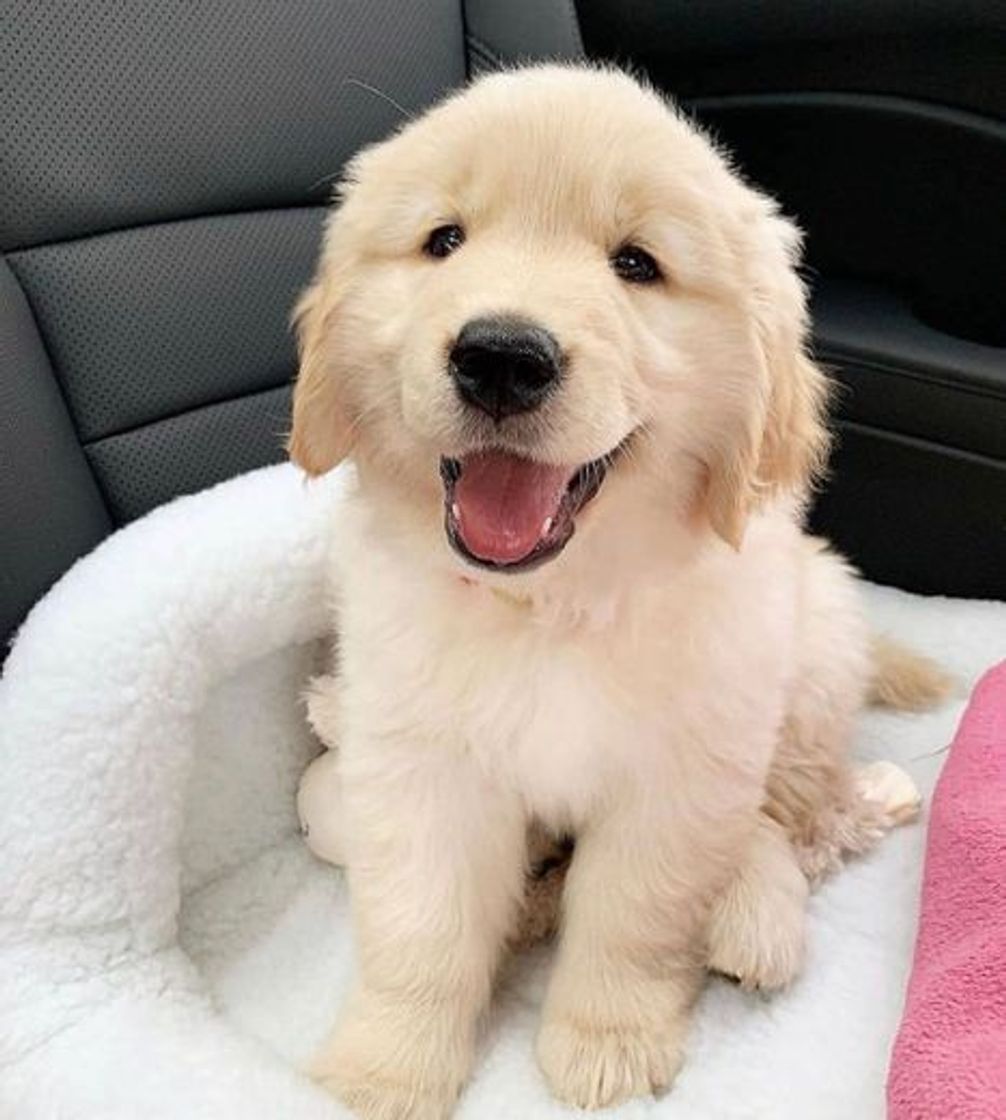 Social s w e e t  s u n d a y  s m i l e 