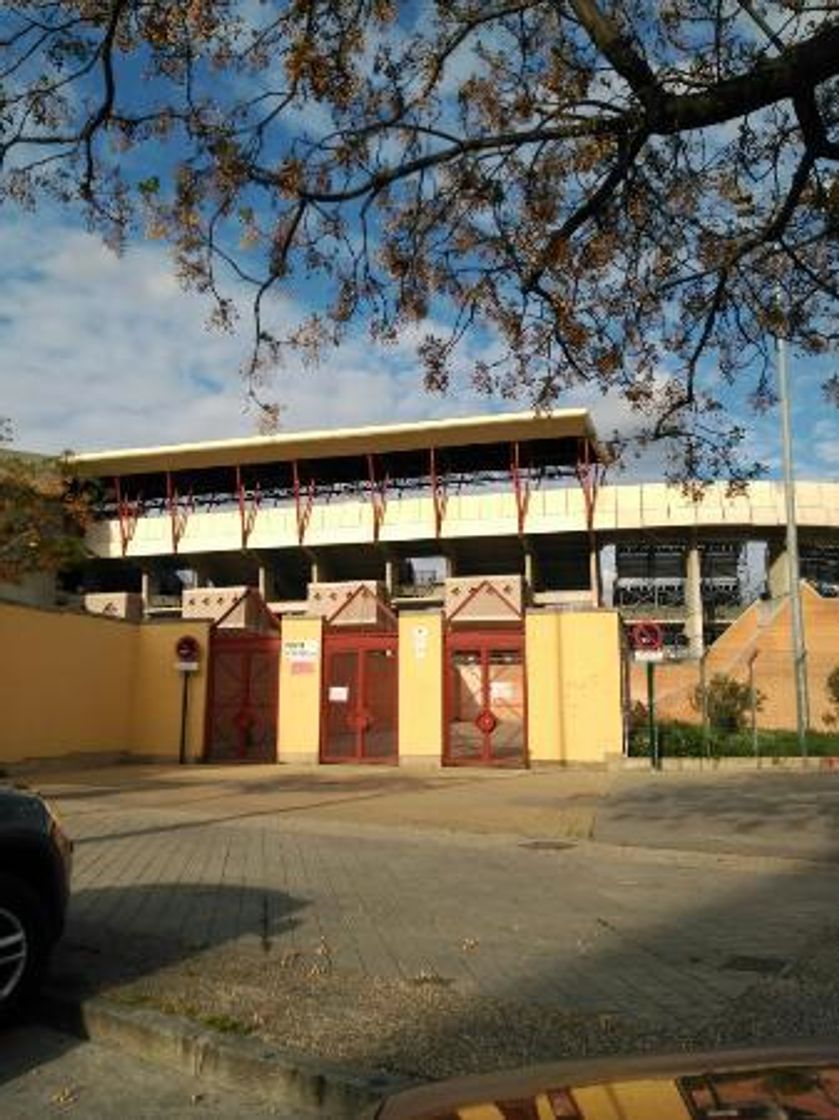 Lugar Nuevo Estadio de Los Cármenes