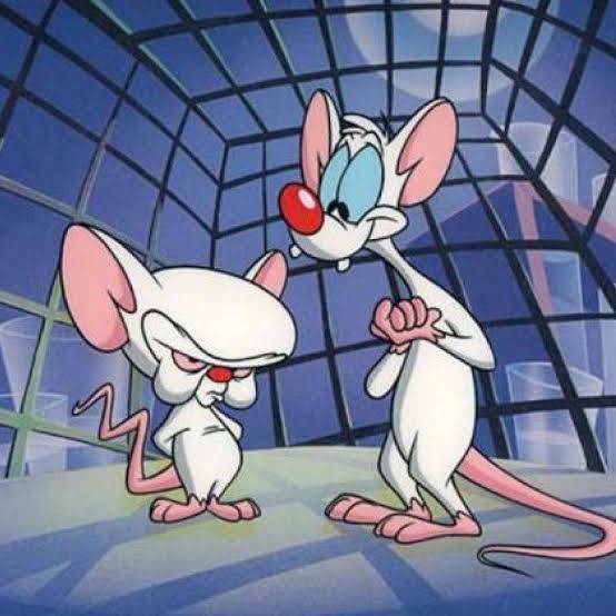 Social Pink e Cérebro 