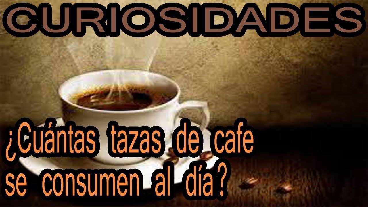 Moda Curiosidades Del Cafe