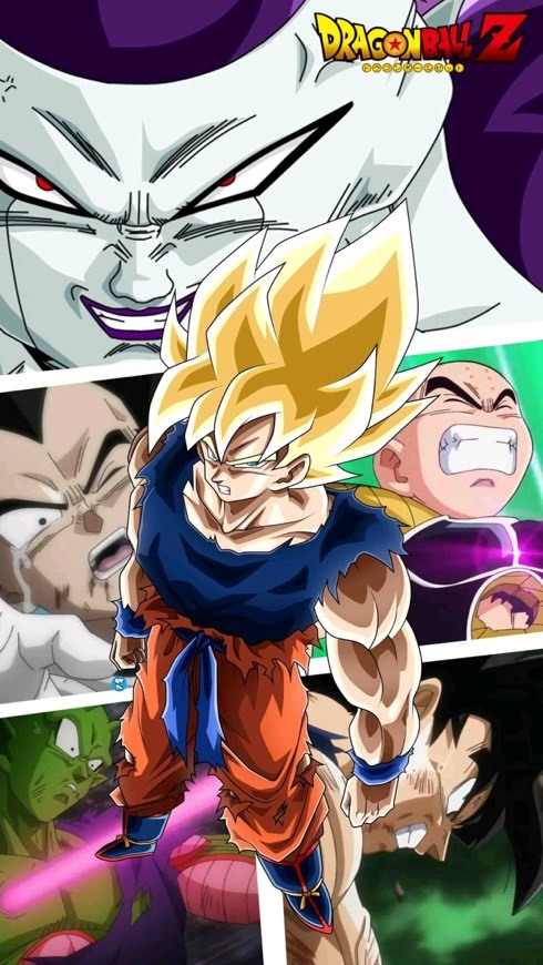 Social Dragon Ball