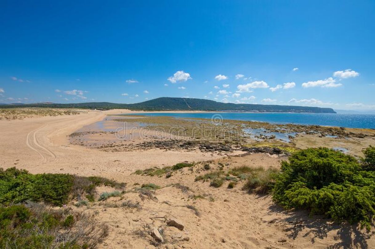 Lugares Playa de Marisucia Caños de Meca