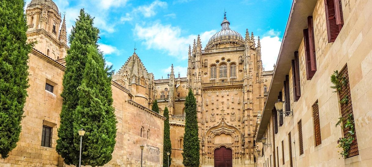 Lugar Catedral de Salamanca