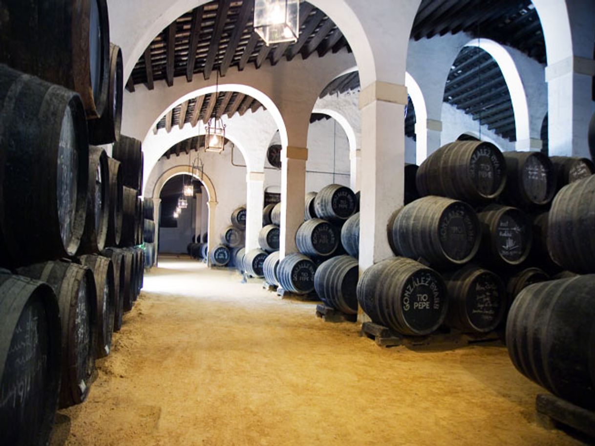 Places Bodegas González Byass S A