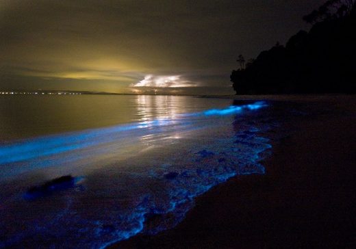 Las playas bioluminiscentes de Holbox