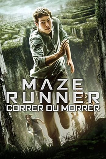 The Maze Runner