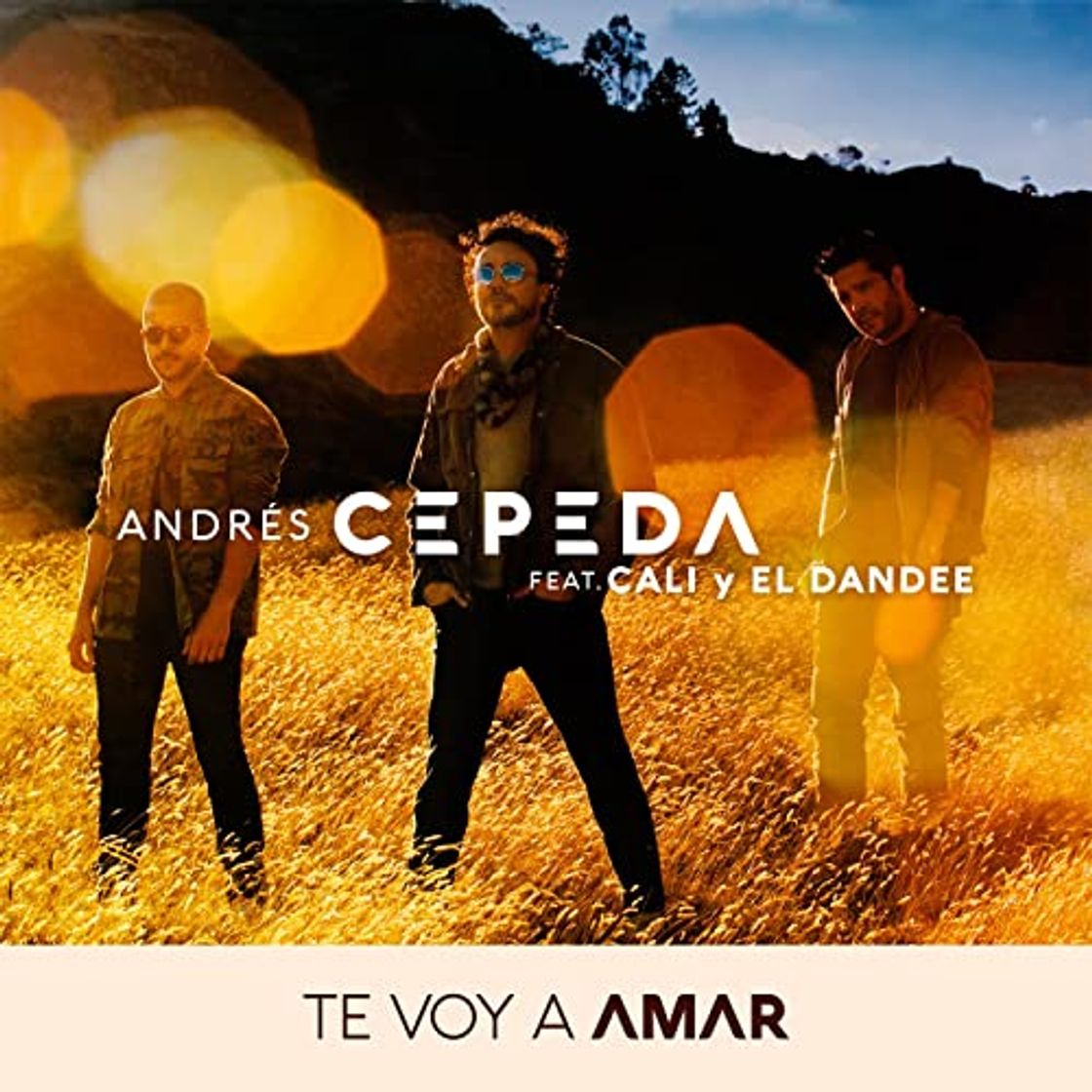 Music Andrés Cepeda, Cali Y El Dandee - Te voy amar 