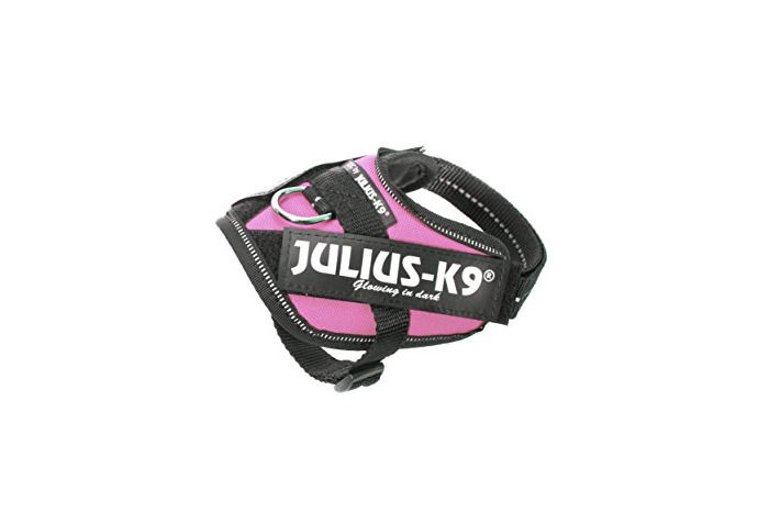 Product Julius-K9 16IDC