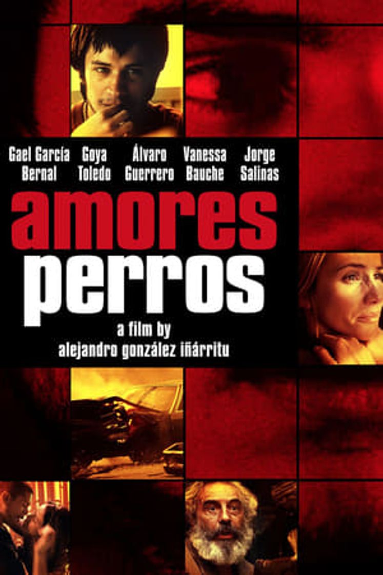 Película Amores perros