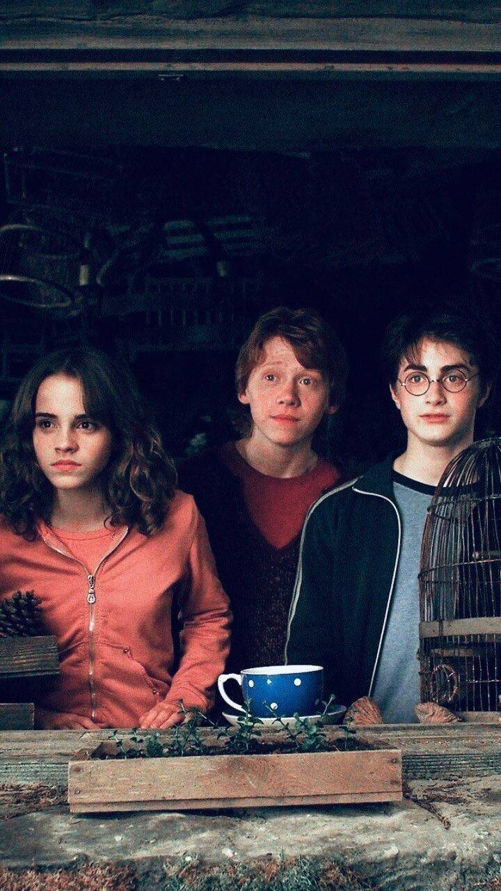 Fashion Trio Harry, Rony e Hermione 