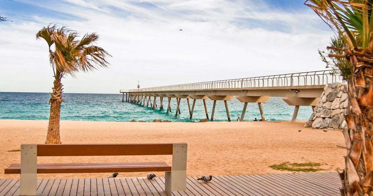 Lugar Playa Badalona