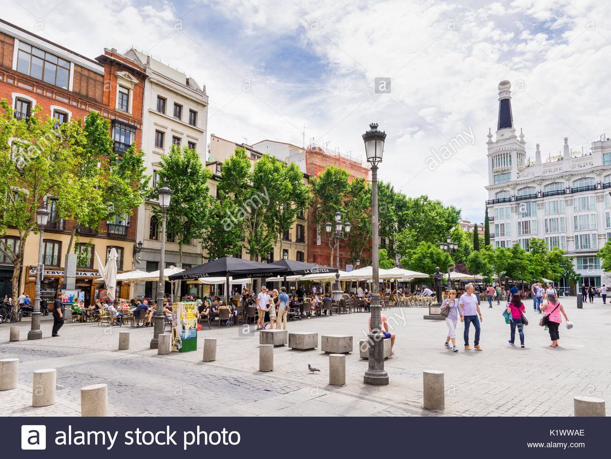 Place Plaza Santa Ana