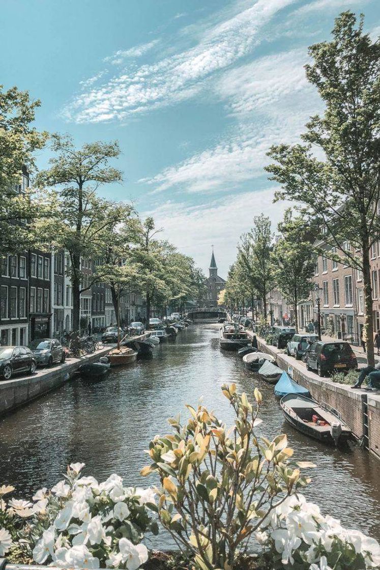 Lugar Amsterdam canals