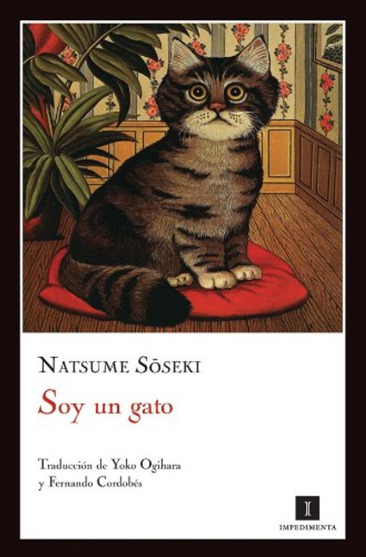 Libro SOY UN GATO