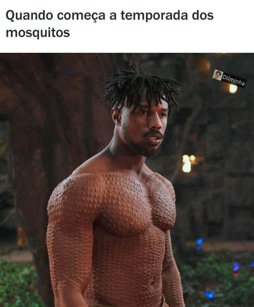 Moda Temporada de mosquitos