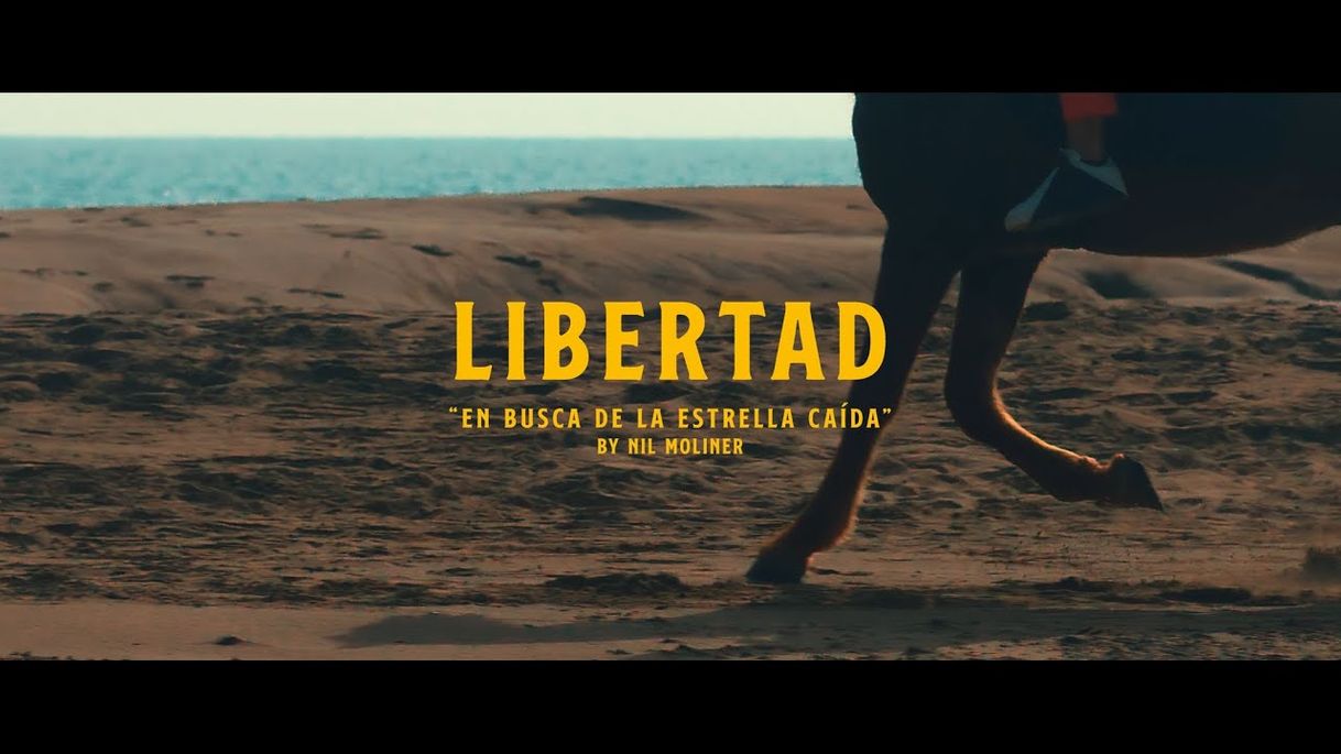 Music Nil Moliner - Libertad (Videoclip Oficial) - YouTube