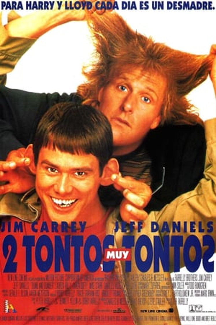 Movie Dos tontos muy tontos