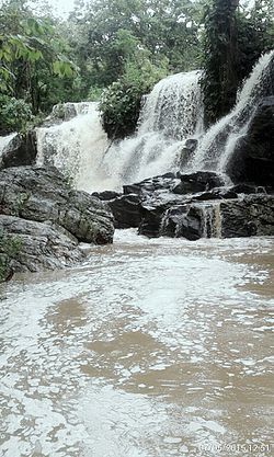 Lugar Palmácia