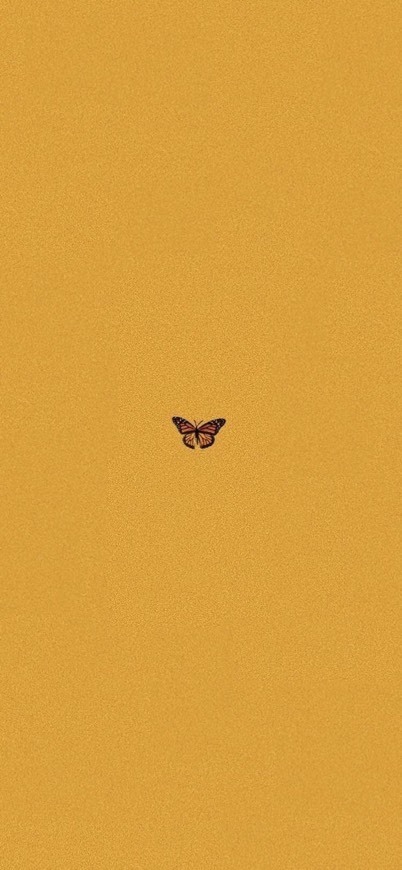 Wallpaper butterfly 🦋 