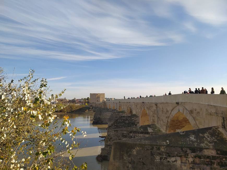 Lugar Puente Romano de Córdoba