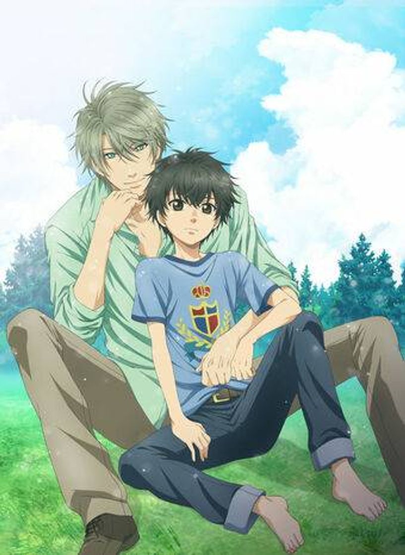 Serie Super Lovers