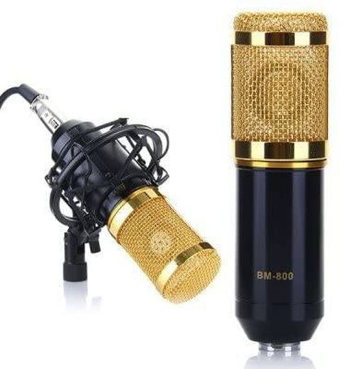 BM-800 Microphone