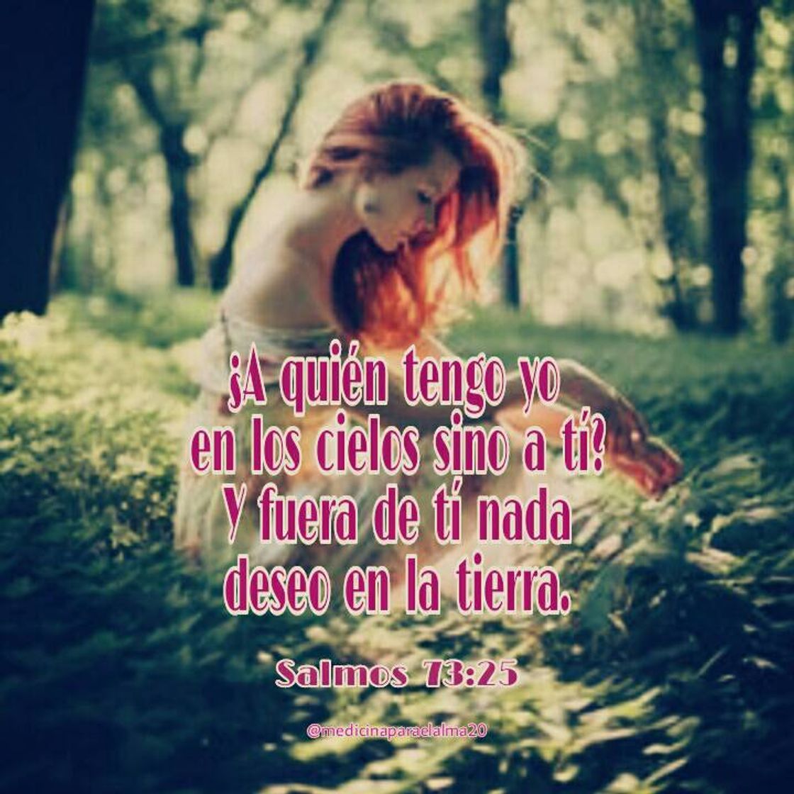 Social Frases lindas 😚