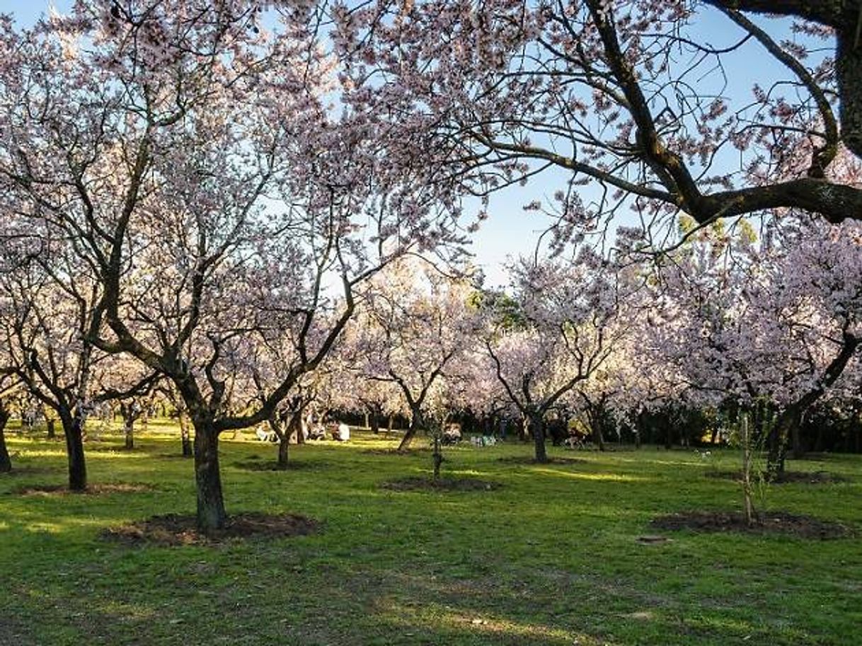 Moda Quinta de los molinos 