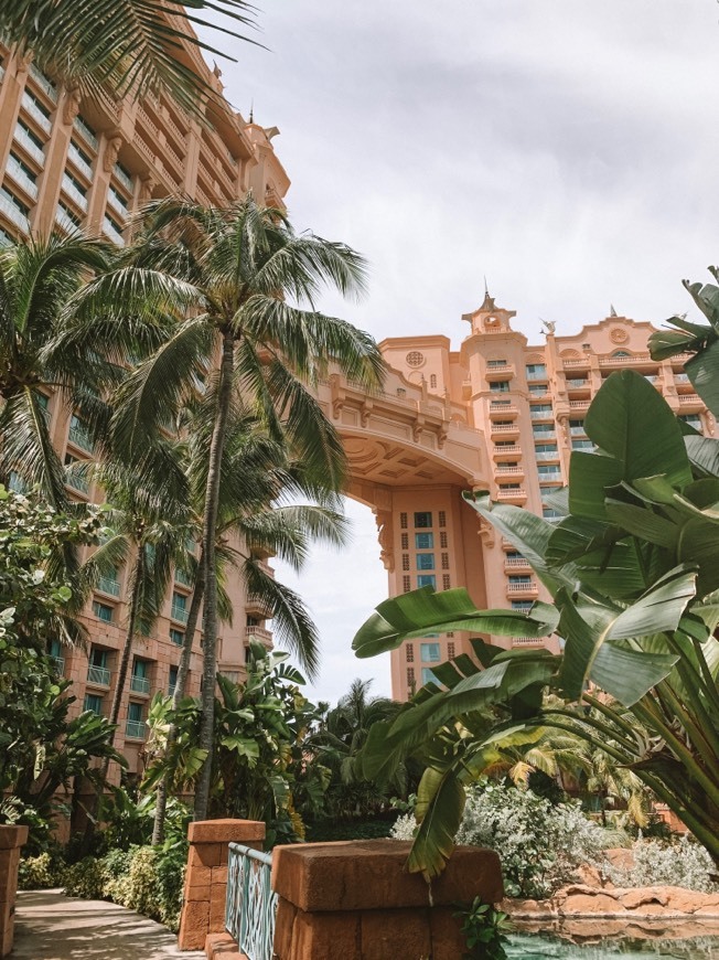 Restaurants Atlantis Paradise Island