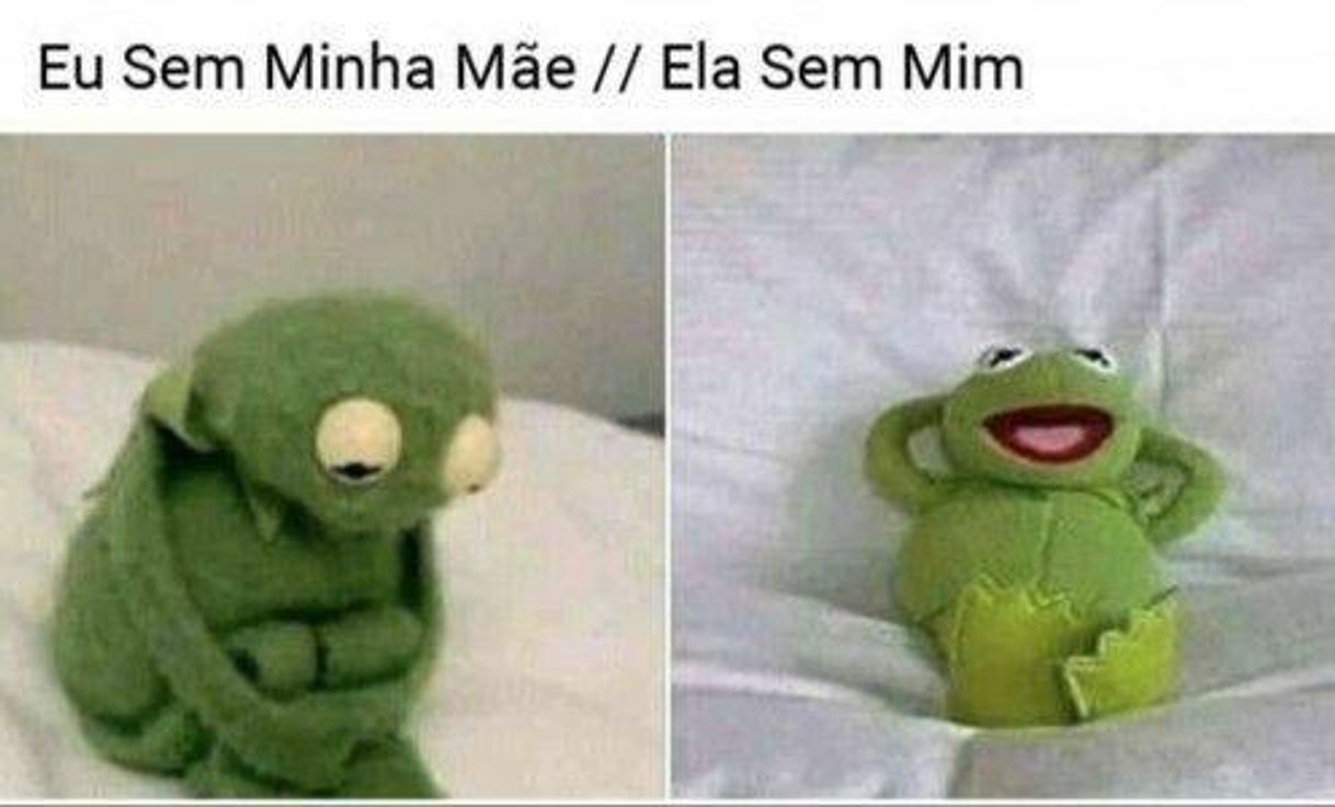 Moda Memesbr