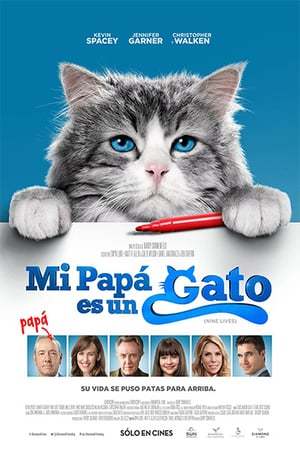 Movie Siete vidas, este gato es un peligro