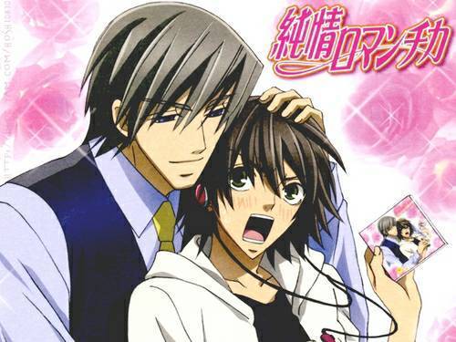 Fashion Junjou romantica 