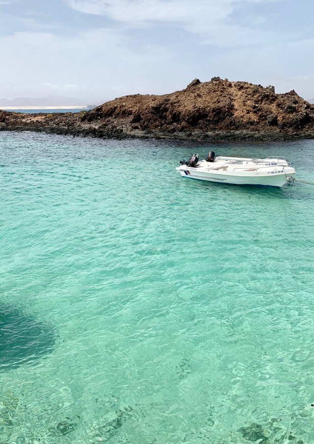 Lugar Isla de Lobos