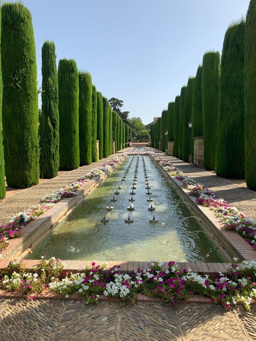 Lugar Alcázar de los Reyes Cristianos