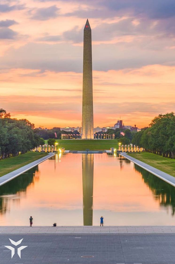 Washington D. C.