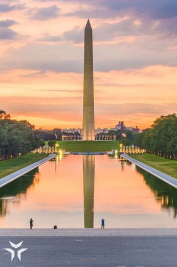 Washington D. C.