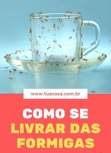 Producto Como se livrar das formigas 🐜 