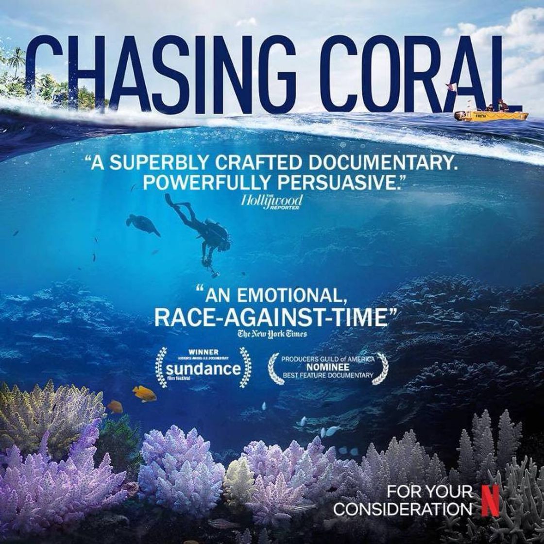 Película Chasing Coral | En busca del coral🌊