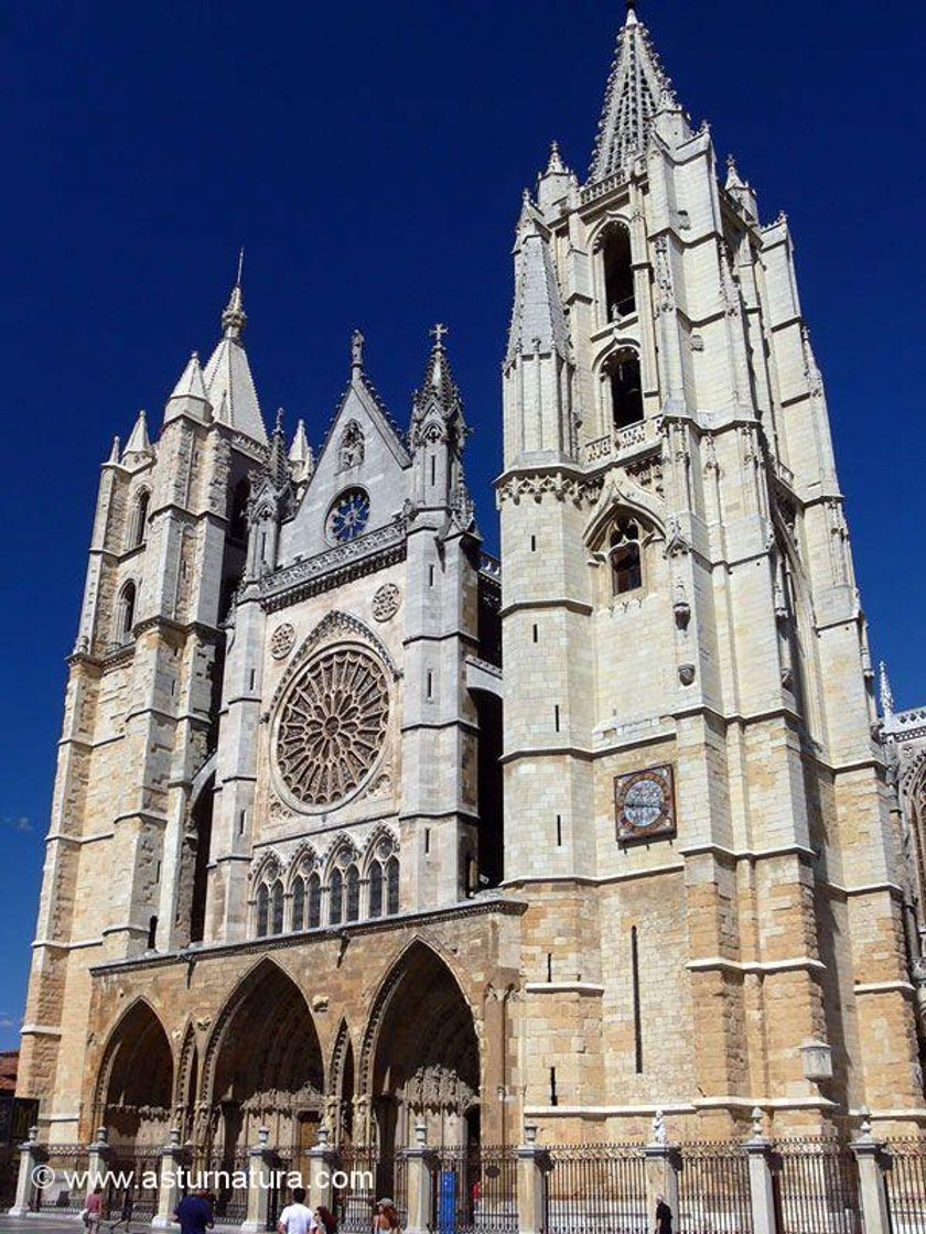 Lugar Catedral de León