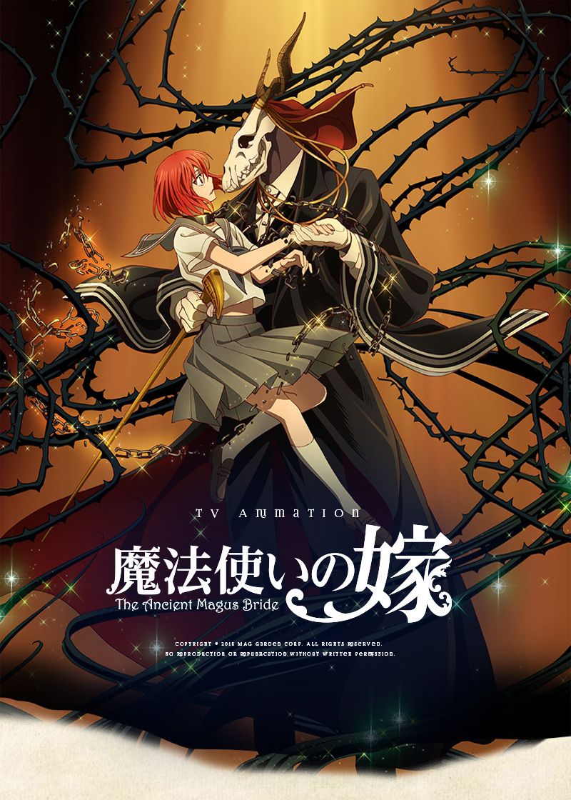 Serie The Ancient Magus' Bride (Mahou Tsukai no Yome)