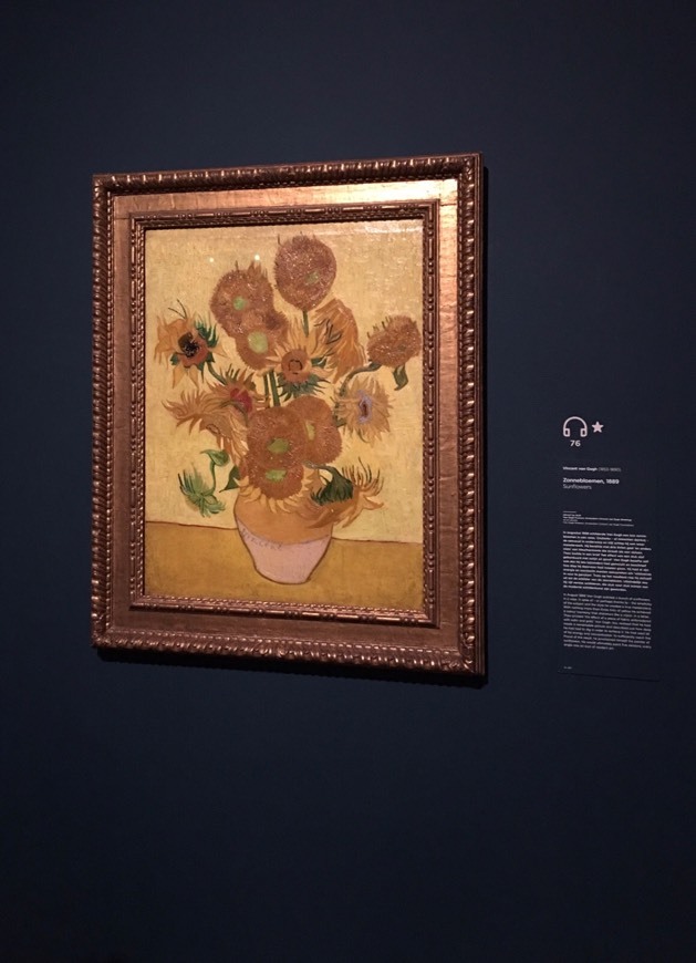 Fashion Van Gogh Museum