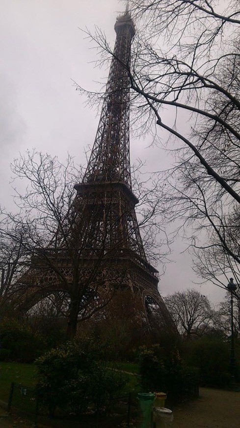 Moda Eiffel Tower