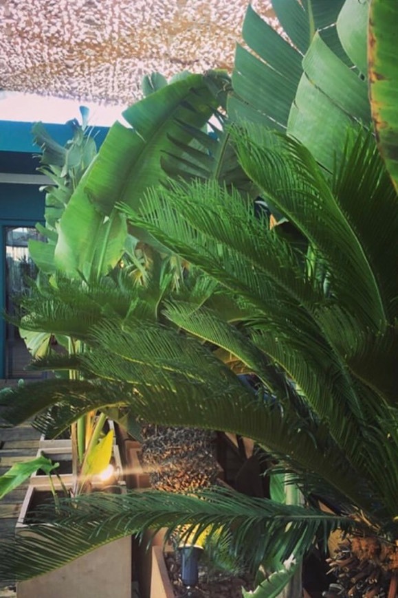 Restaurants Ferroviário