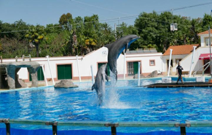 Lugar Jardim Zoológico de Lisboa