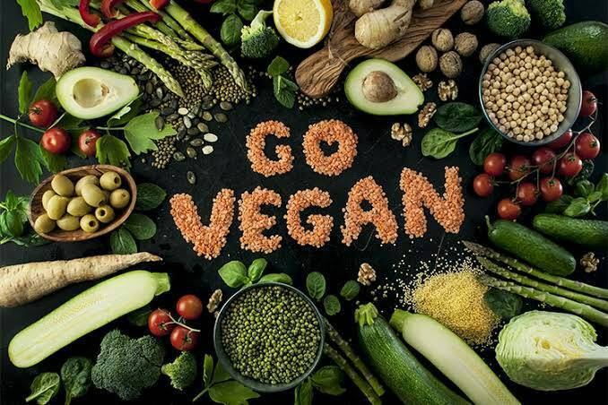 Moda Go vegan!