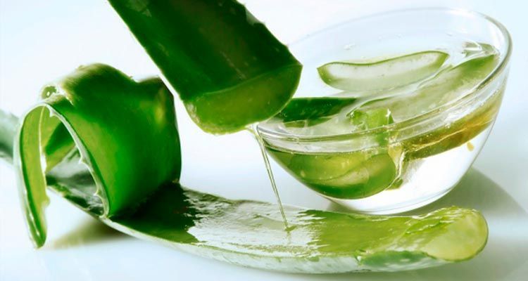 Aloe vera mascarilla casera