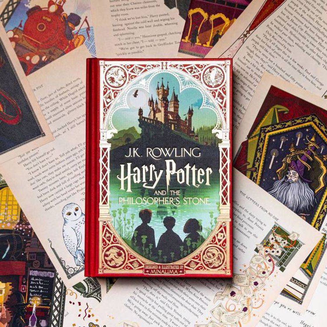 Libro Livro do Harry Potter