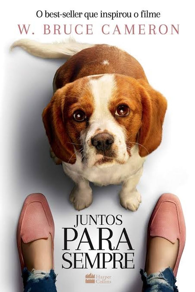 Movie Tu mejor amigo