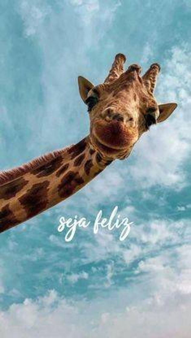 Social Wallpaper girafa 